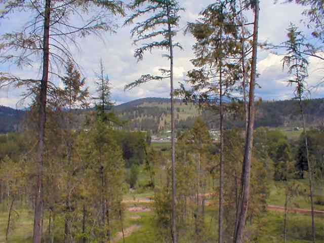 Lot 3 Skidmore Road Colville, WA 99114 - Photo 2 of 4