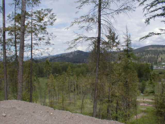 Lot 3 Skidmore Road Colville, WA 99114 - Photo 3 of 4