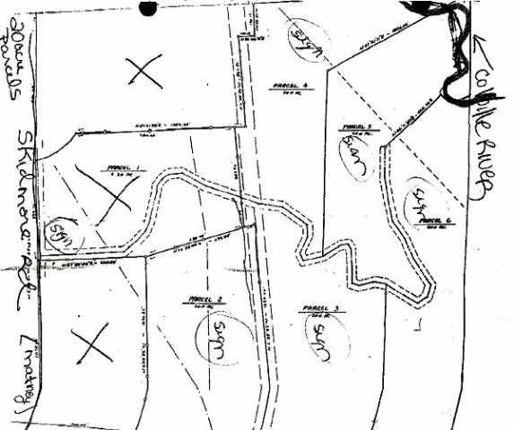 Lot 3 Skidmore Road Colville, WA 99114 - Photo 4 of 4