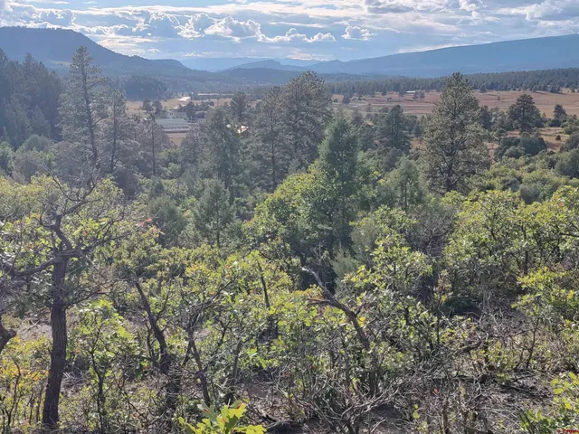 $224,900 | 672 Carino Place, Pagosa Springs, CO 81147