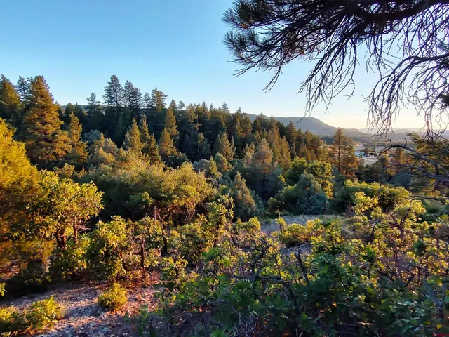 $224,900 | 672 Carino Place, Pagosa Springs, CO 81147