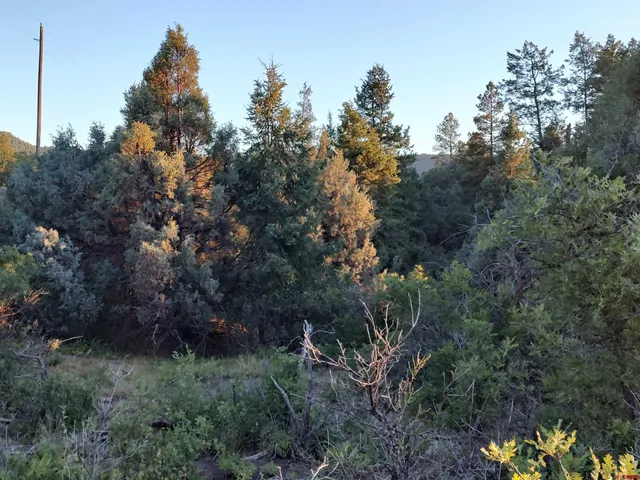 $224,900 | 672 Carino Place, Pagosa Springs, CO 81147