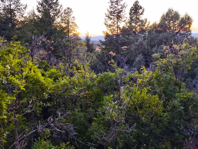 $224,900 | 672 Carino Place, Pagosa Springs, CO 81147