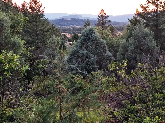 $224,900 | 672 Carino Place, Pagosa Springs, CO 81147