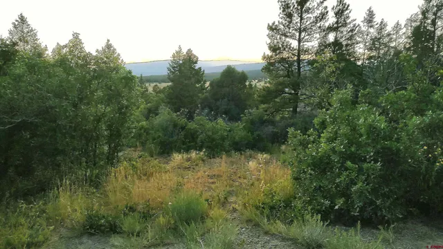 $224,900 | 672 Carino Place, Pagosa Springs, CO 81147