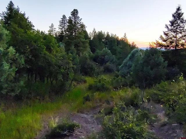 $224,900 | 672 Carino Place, Pagosa Springs, CO 81147