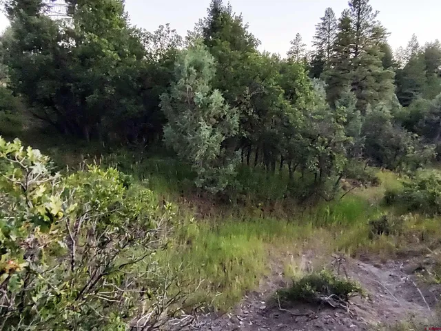 $224,900 | 672 Carino Place, Pagosa Springs, CO 81147