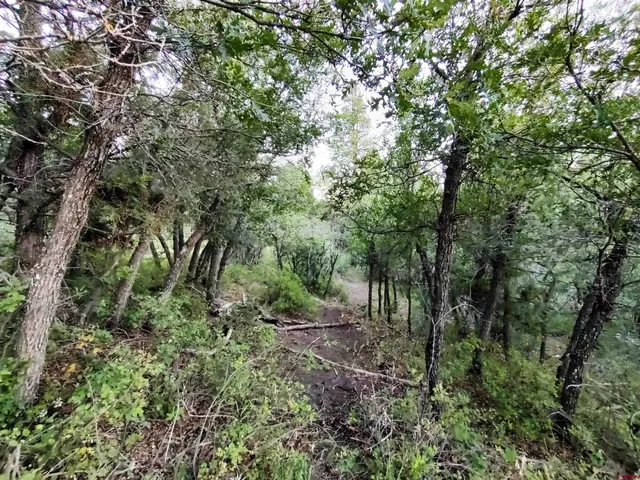 $224,900 | 672 Carino Place, Pagosa Springs, CO 81147