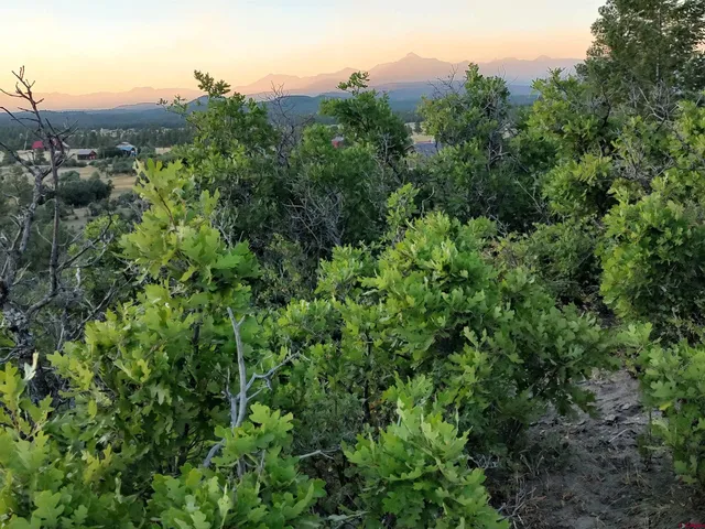 $224,900 | 672 Carino Place, Pagosa Springs, CO 81147