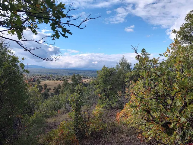 $224,900 | 672 Carino Place, Pagosa Springs, CO 81147