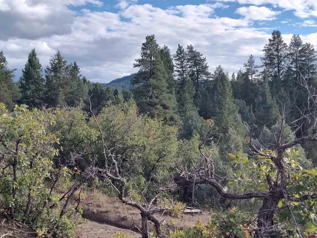 $224,900 | 672 Carino Place, Pagosa Springs, CO 81147