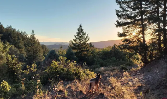 $224,900 | 672 Carino Place, Pagosa Springs, CO 81147