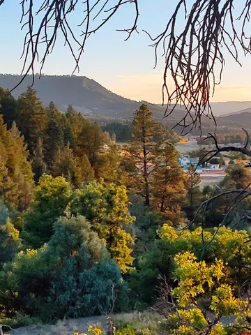 $224,900 | 672 Carino Place, Pagosa Springs, CO 81147