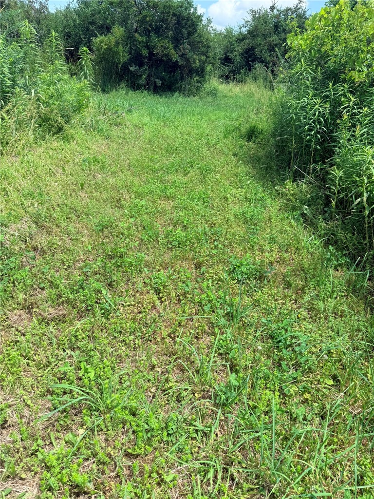 L19 North Pond Road Guilford, NY 13780 - Photo 8 of 19
