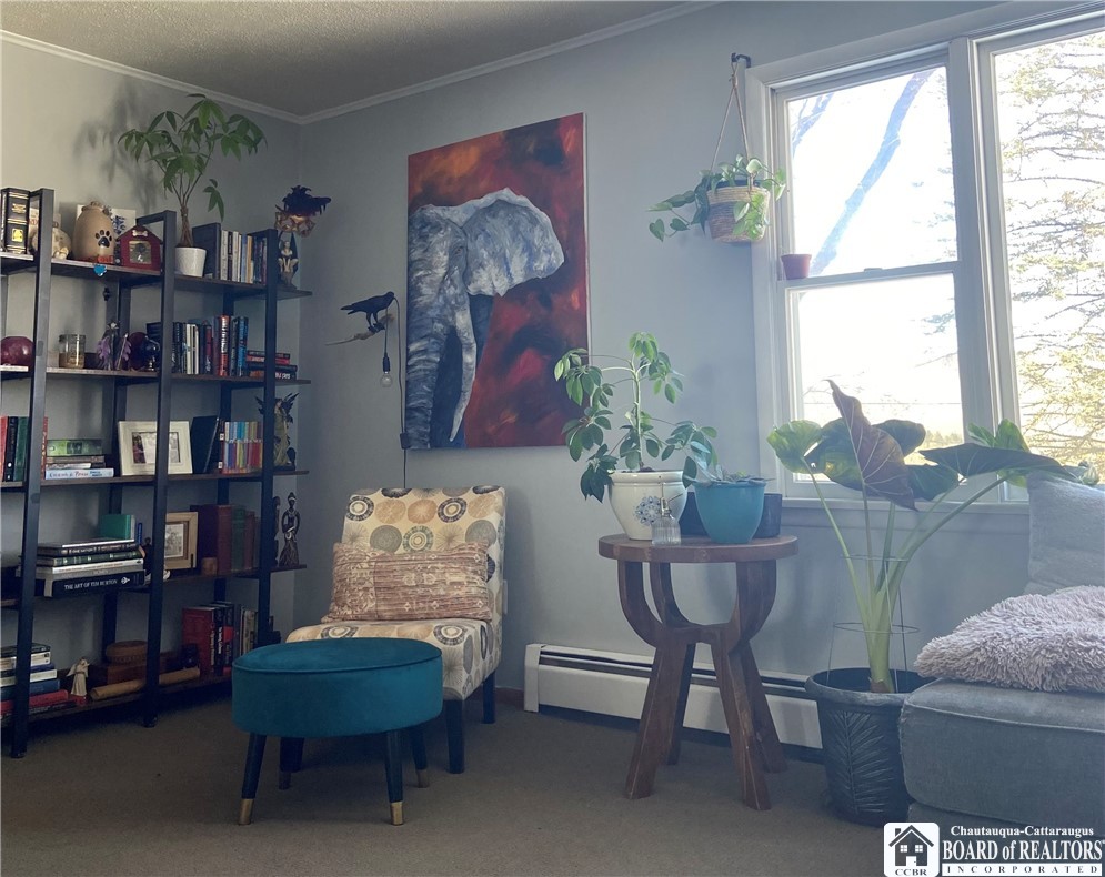 119 Bristol Cuba, NY 14727 - Photo 22 of 42