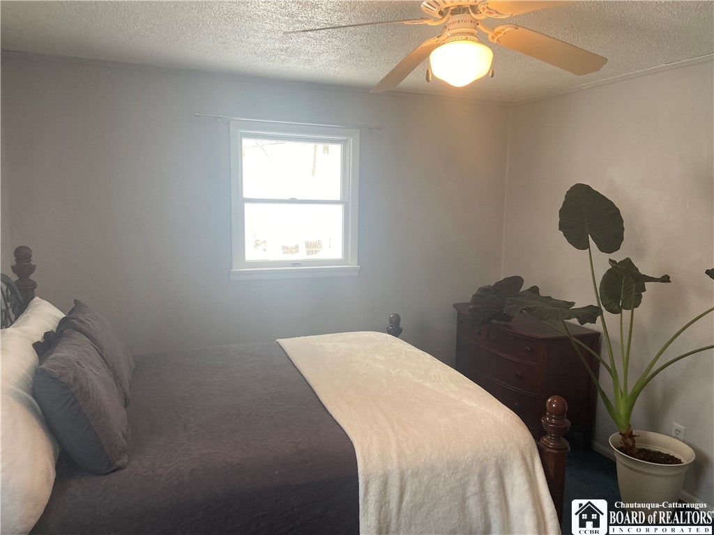 119 Bristol Cuba, NY 14727 - Photo 27 of 42