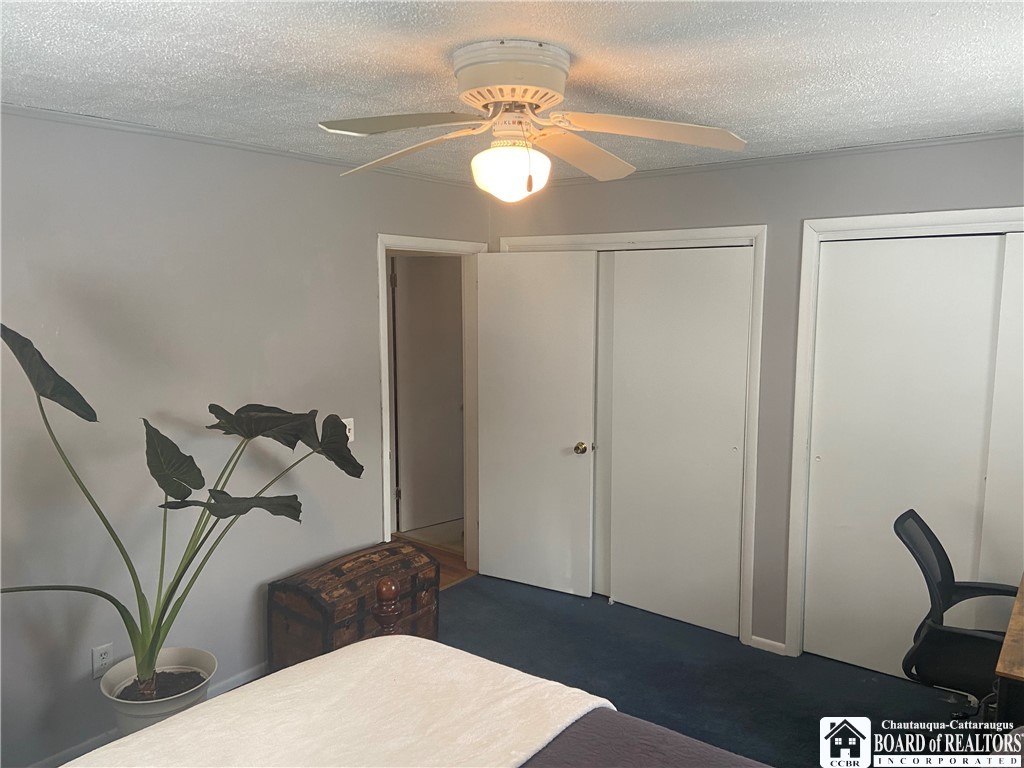 119 Bristol Cuba, NY 14727 - Photo 29 of 42