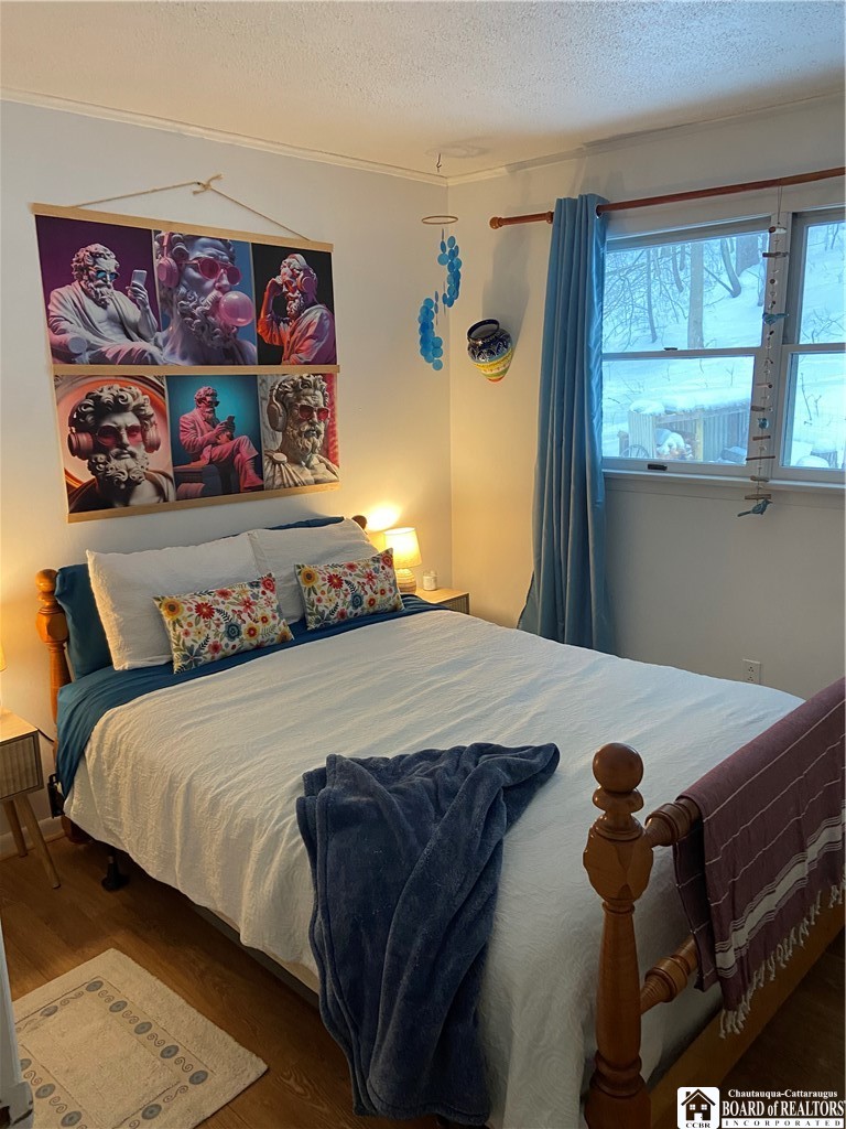 119 Bristol Cuba, NY 14727 - Photo 30 of 42