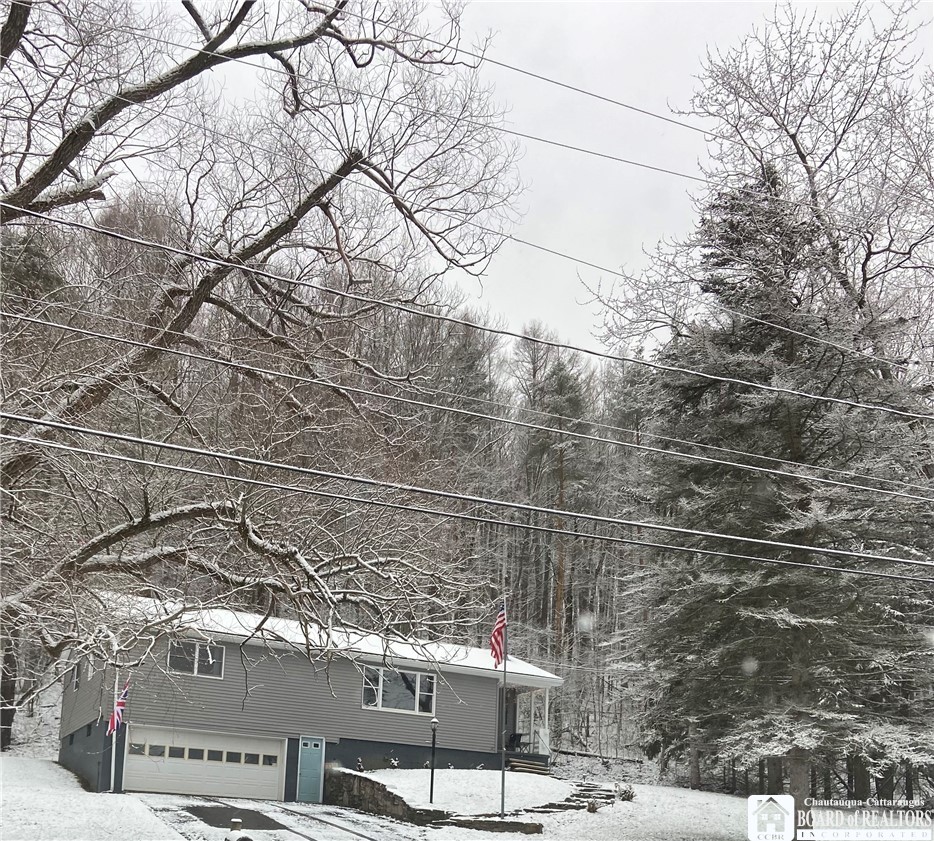 119 Bristol Cuba, NY 14727 - Photo 40 of 42