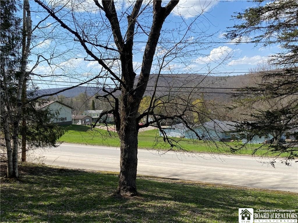 119 Bristol Cuba, NY 14727 - Photo 41 of 42