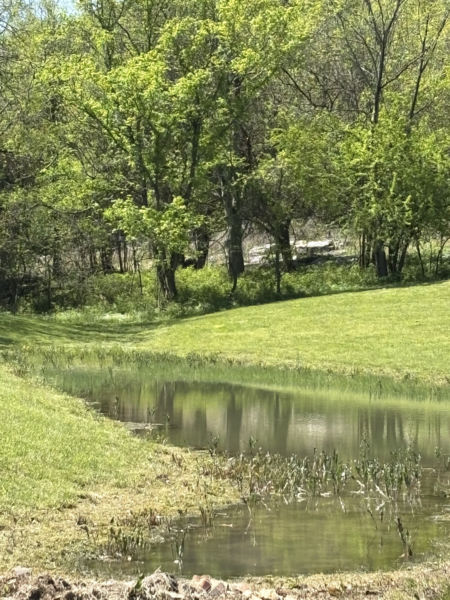1649 Snake Creek Road Belfast, TN 37019 - Photo 3 of 57 a view of a lake view