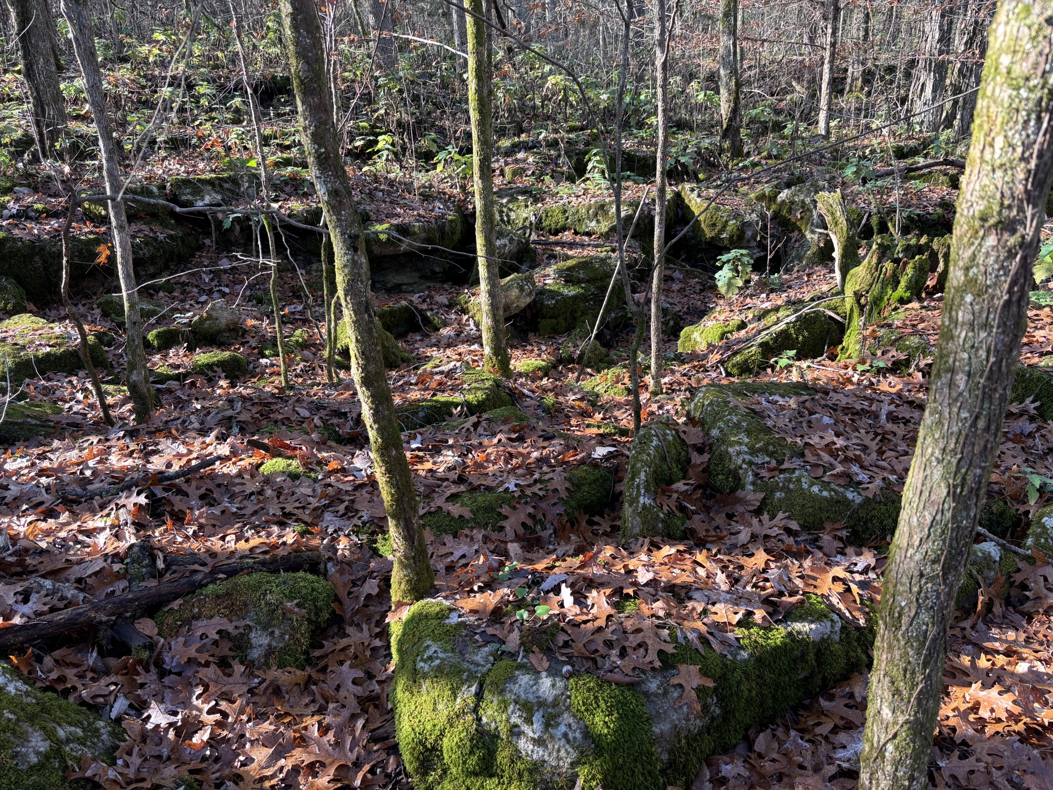1649 Snake Creek Road Belfast, TN 37019 - Photo 55 of 57 a view of lake