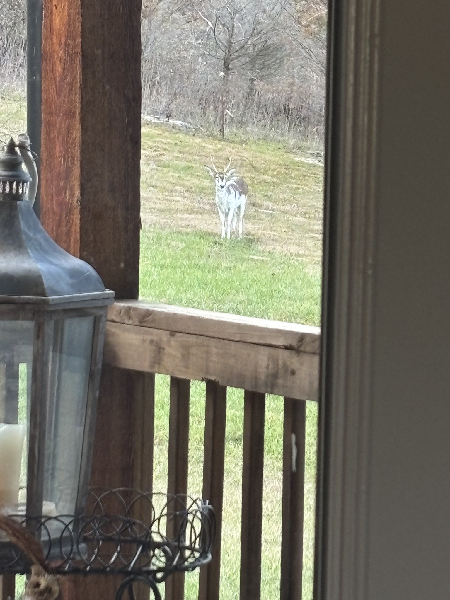 1649 Snake Creek Road Belfast, TN 37019 - Photo 6 of 57 a view of a balcony with an outdoor space