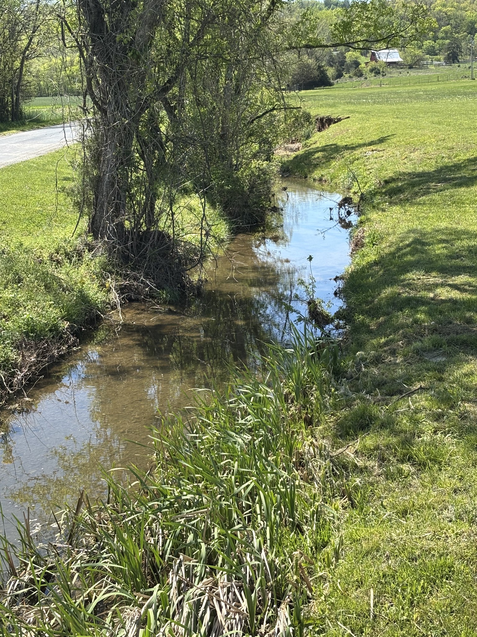 1649 Snake Creek Road Belfast, TN 37019 - Photo 9 of 57 a view of a lake with a yard