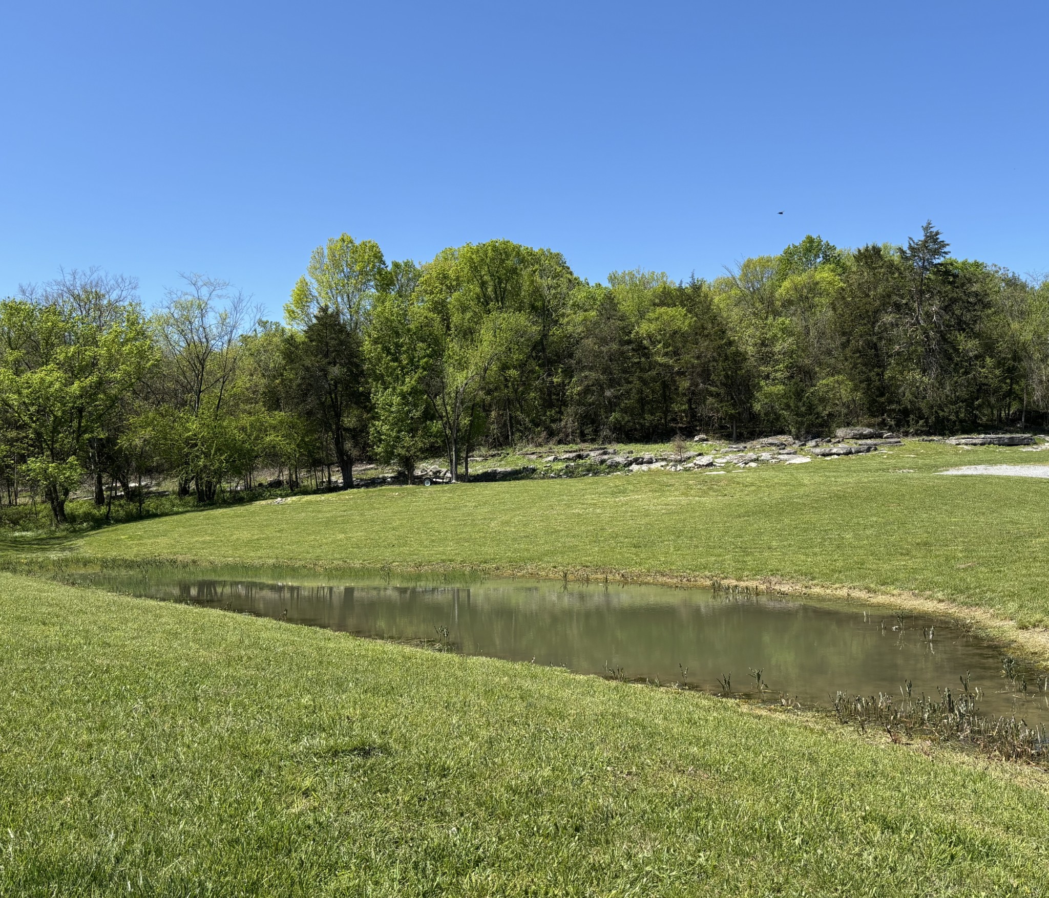 1649 Snake Creek Road Belfast, TN 37019 - Photo 10 of 57 a view of a green field with clear sky