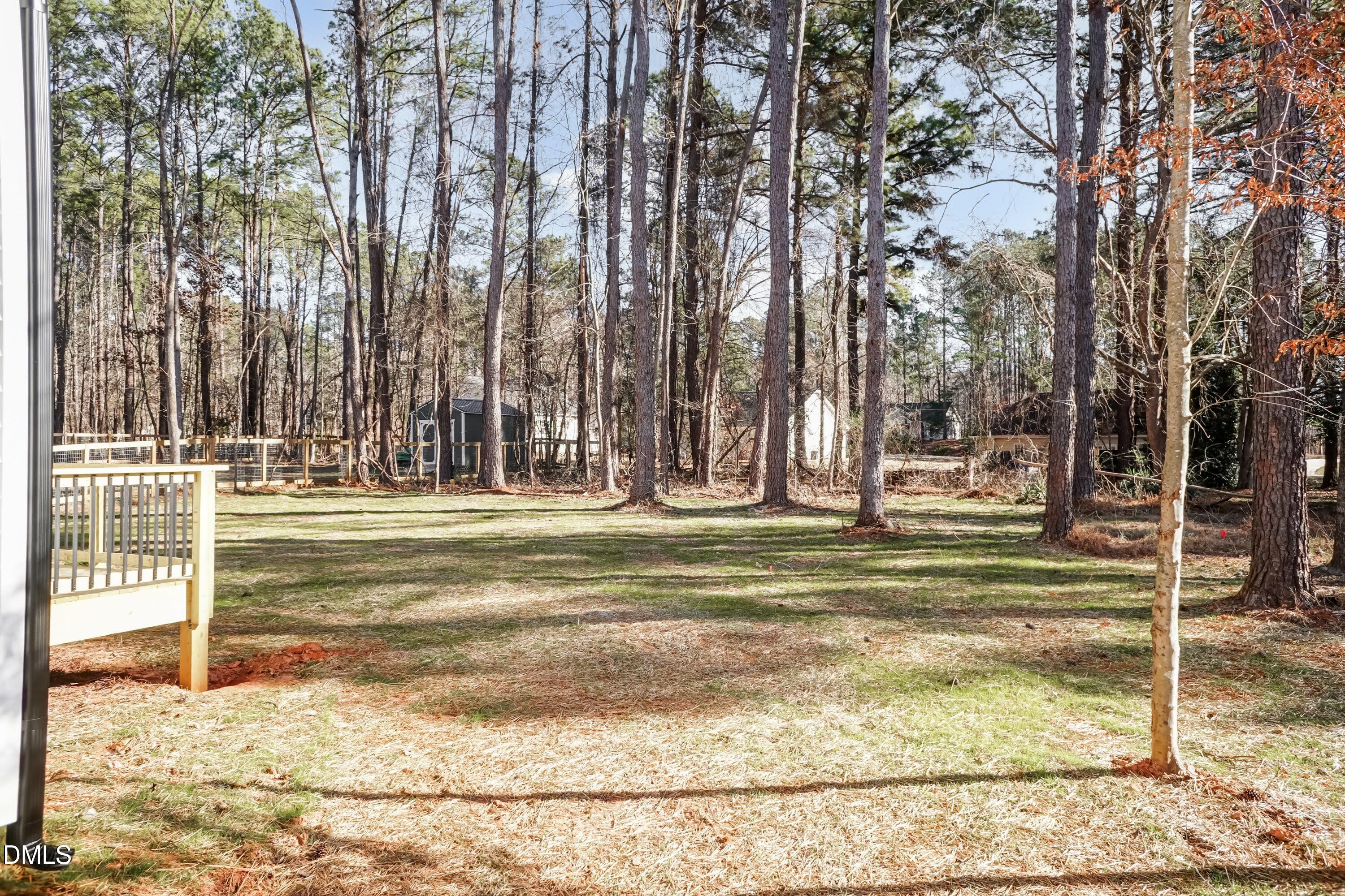 104 Buffalo Drive Spring Hope, NC 27882 - Photo 41 of 48 Back Yard 01