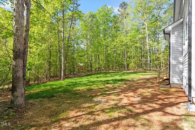 a view of a yard with plants and large trees