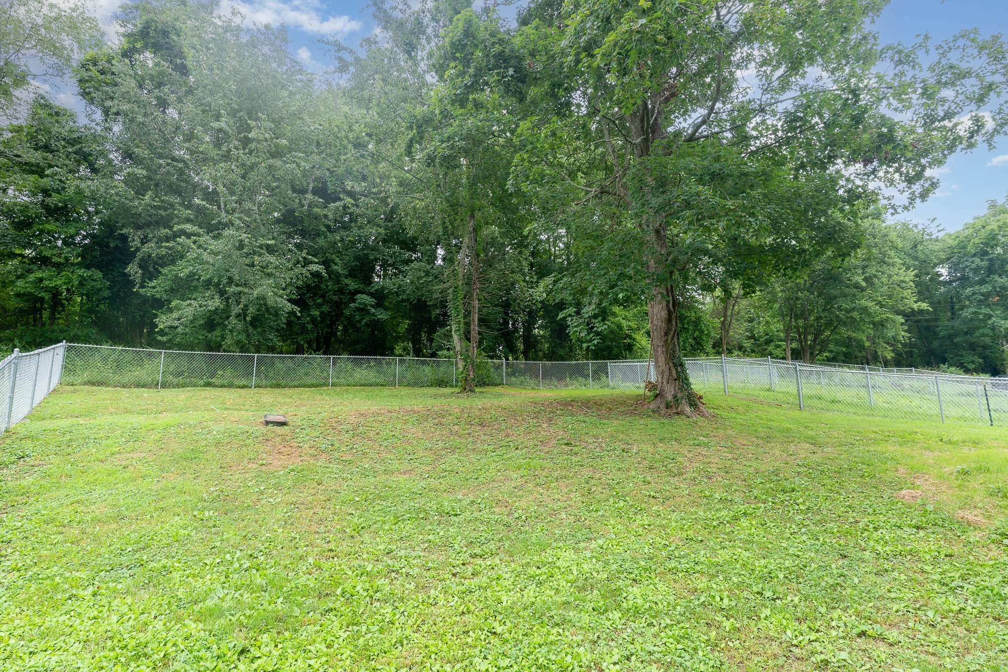 1120 Taylortown Road White Bluff, TN 37187 - Photo 21 of 24 a view of a garden