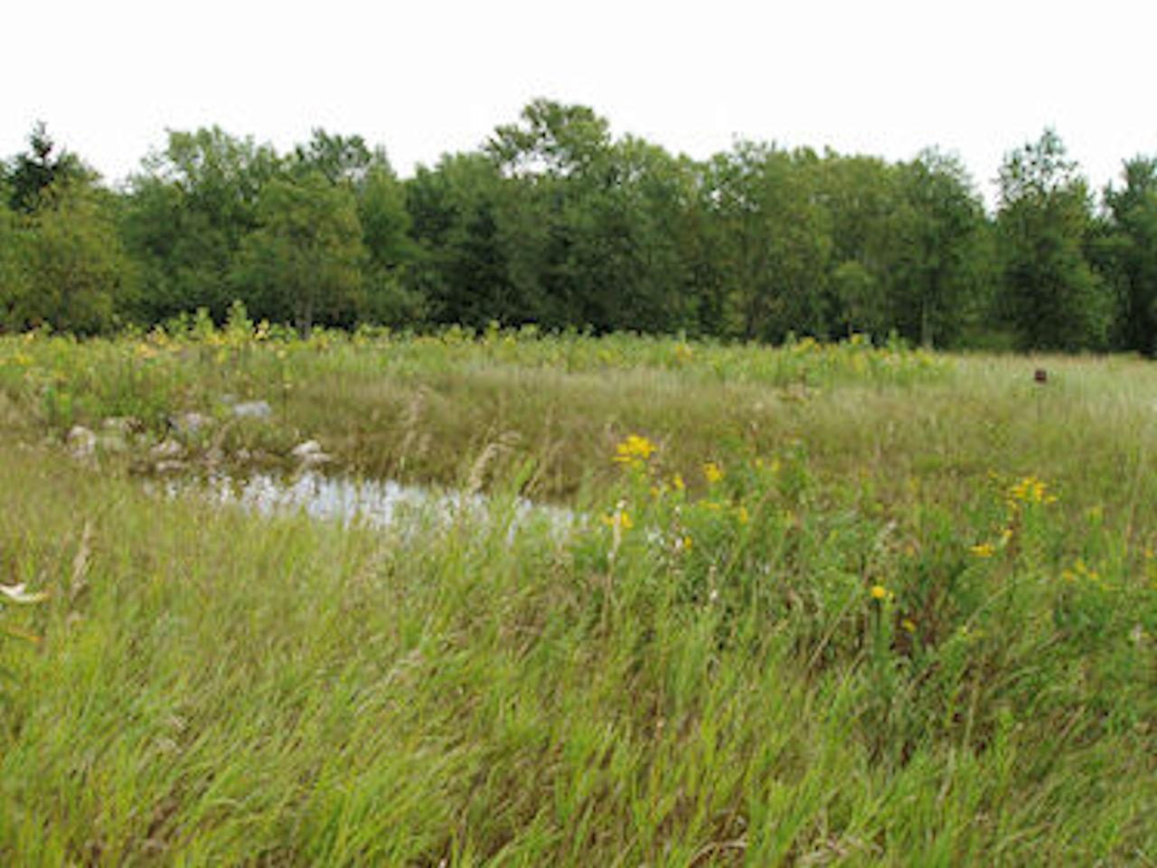 On Bert Schmidt Road Glidden, WI 54527 - Photo 6 of 9