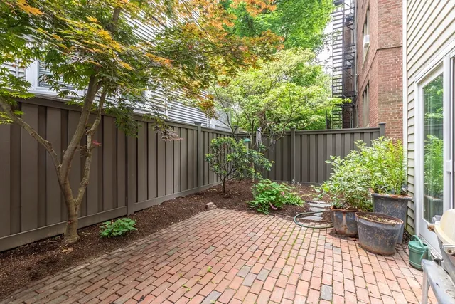 a view of a backyard with potted plants and large trees