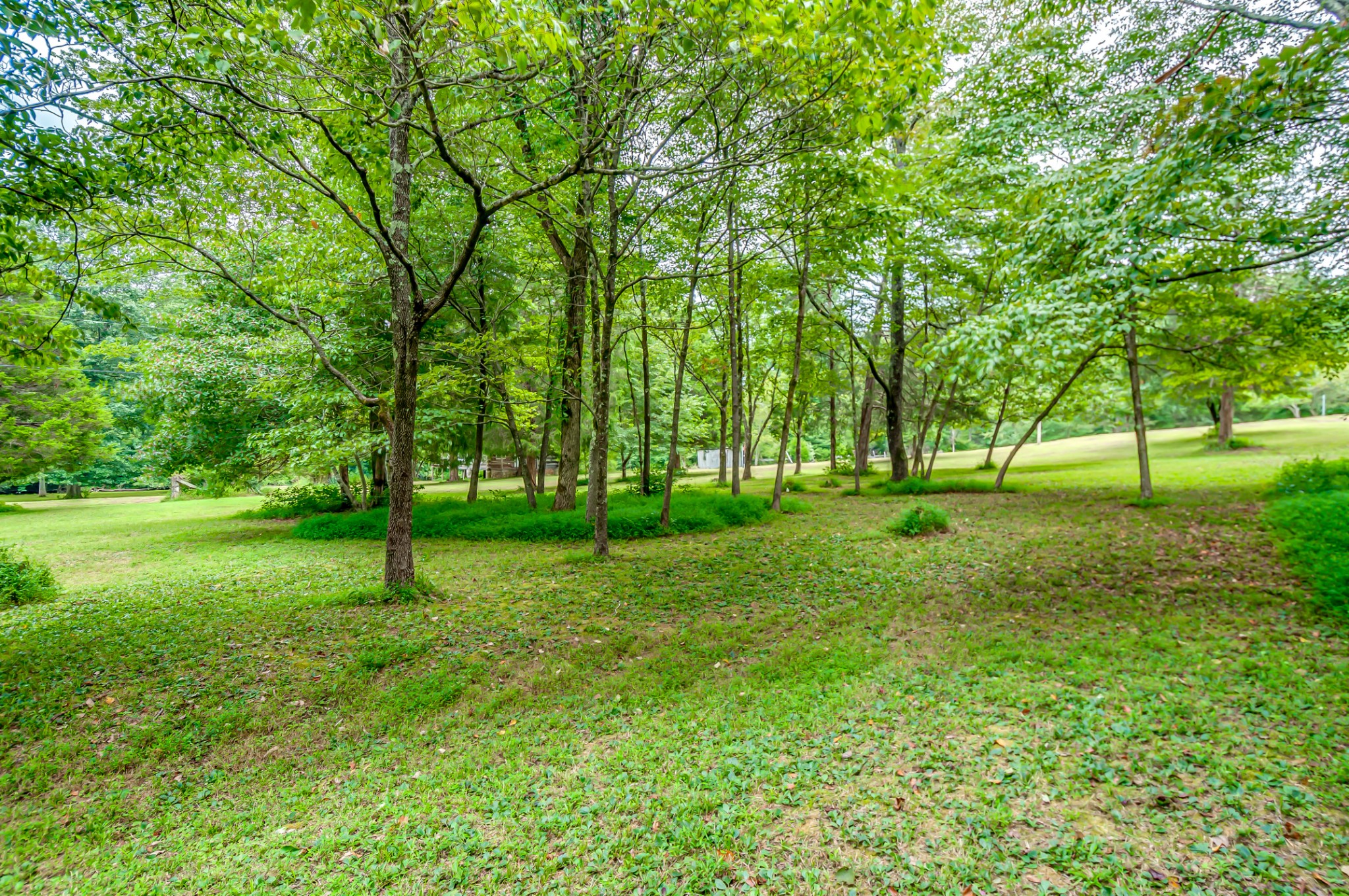 168 Broyhill Road Hohenwald, TN 38462 - Photo 18 of 37 Gallery Image 18