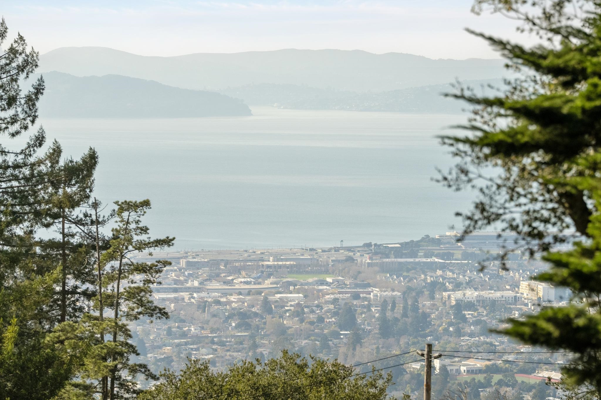 209 Fairlawn Drive Berkeley, CA 94708 - Photo 35 of 60