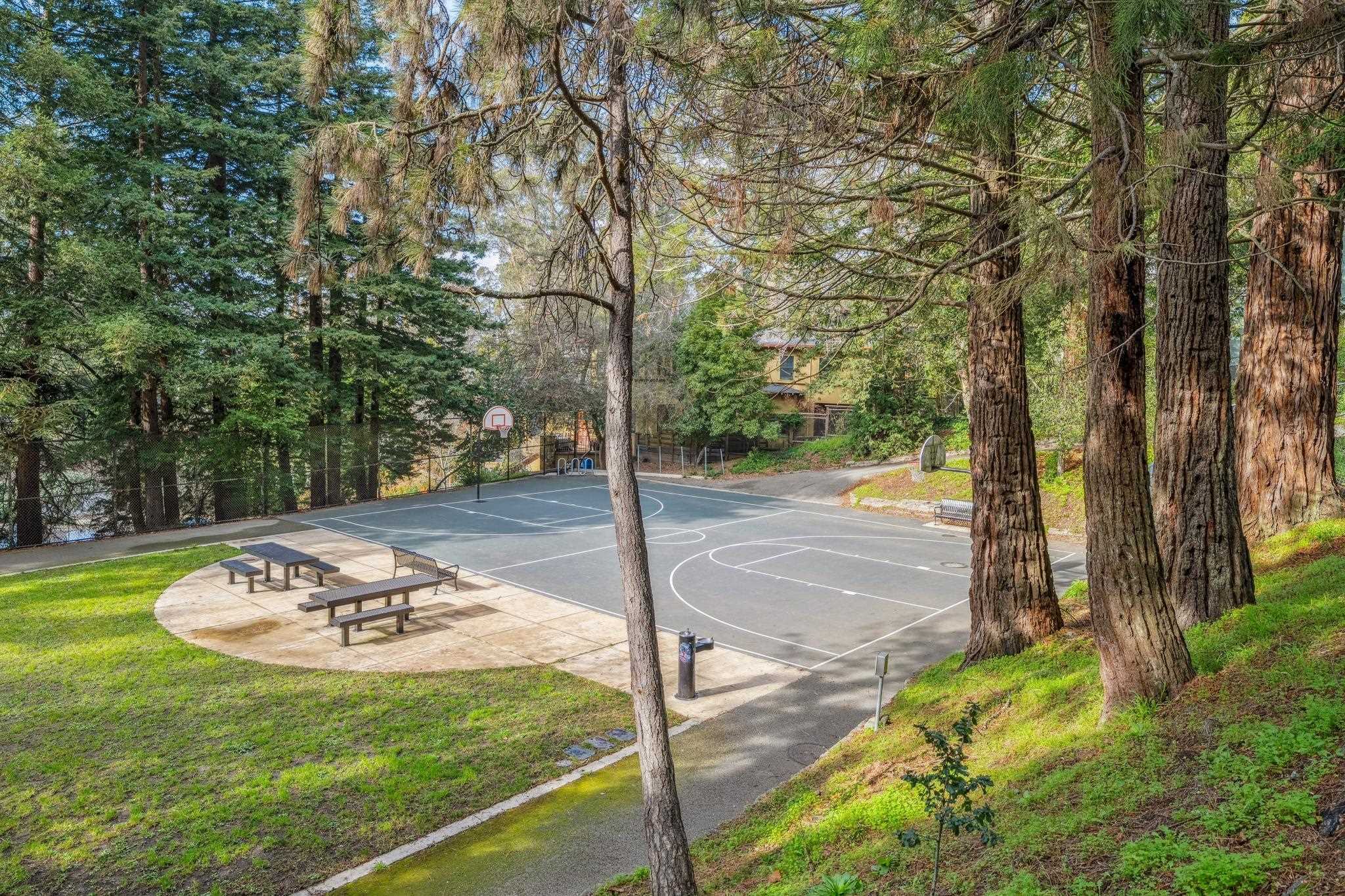 209 Fairlawn Drive Berkeley, CA 94708 - Photo 55 of 60