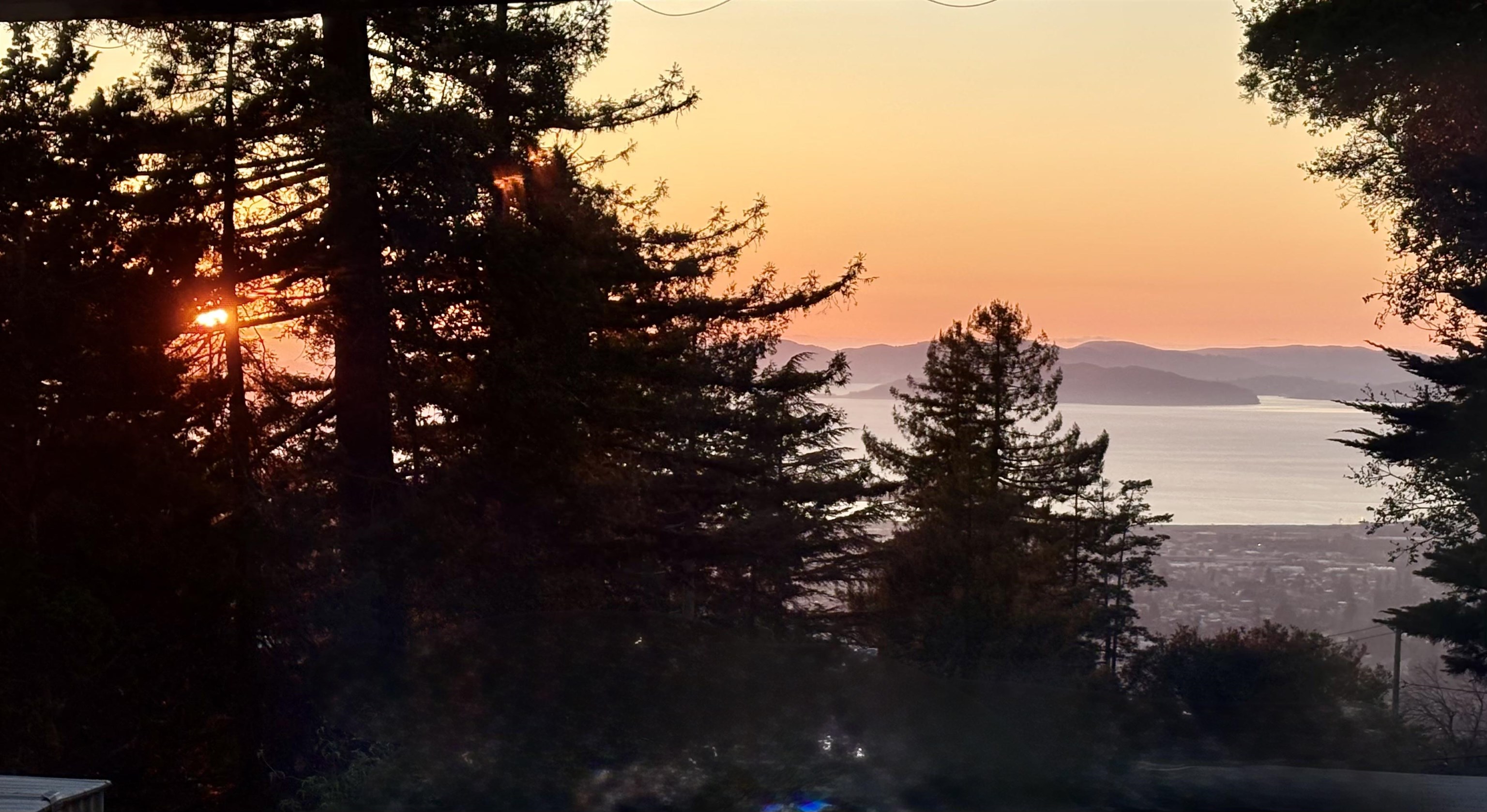 209 Fairlawn Drive Berkeley, CA 94708 - Photo 59 of 60