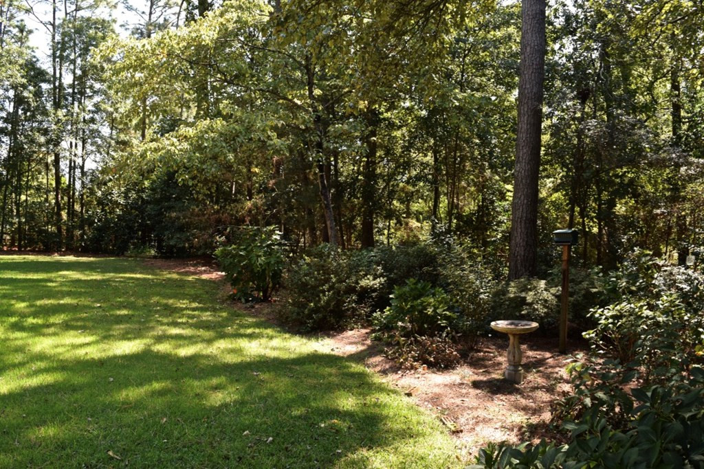 108 Hasty Road Aiken, SC 29803 - Photo 50 of 53