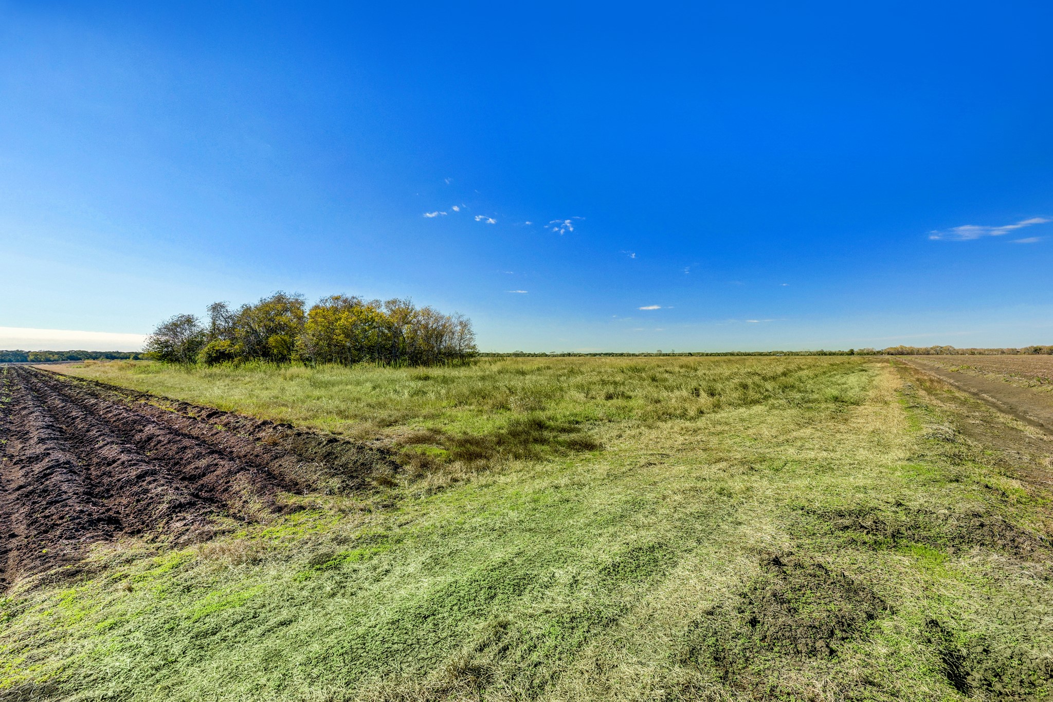 0 County Road 509 Road Damon, TX 77430 - Photo 11 of 18 a view of a field with an ocean