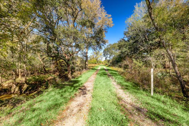 a view of yard with green space
