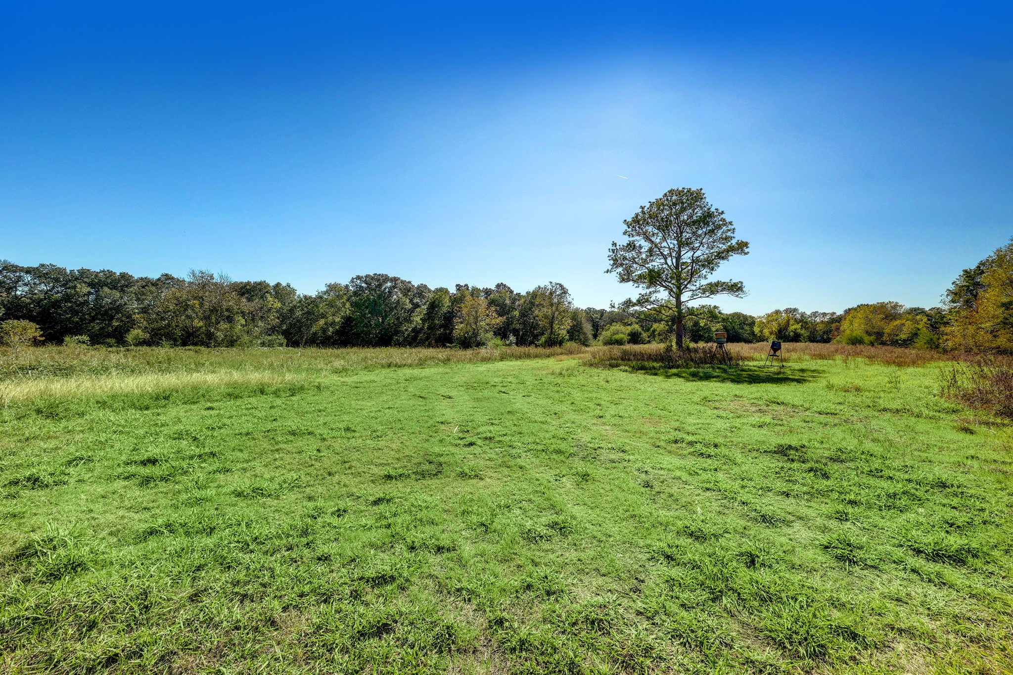 0 County Road 509 Road Damon, TX 77430 - Photo 5 of 18 a view of a green field