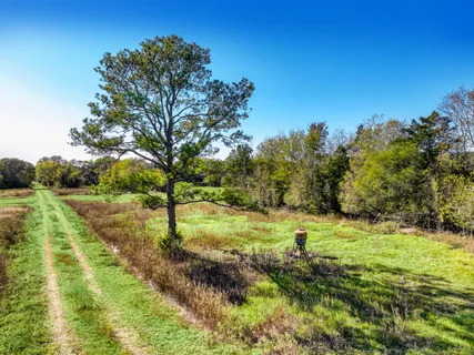 a view of a green field with wooden fence