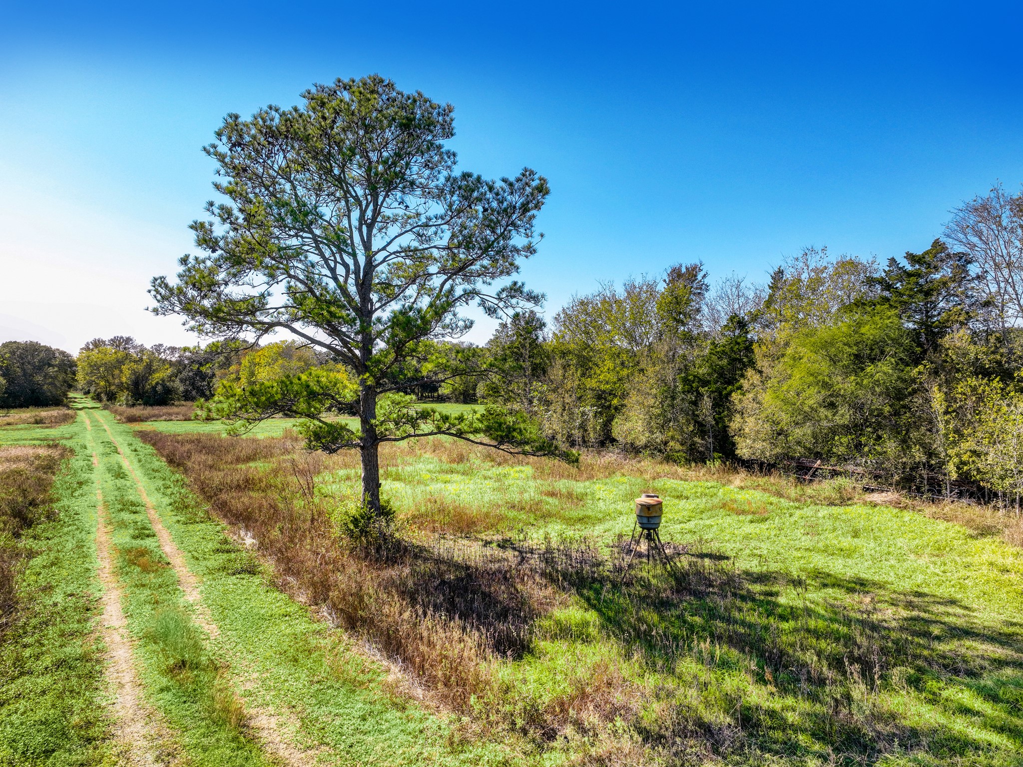 0 County Road 509 Road Damon, TX 77430 - Photo 6 of 18 a view of an outdoor space with a lake view