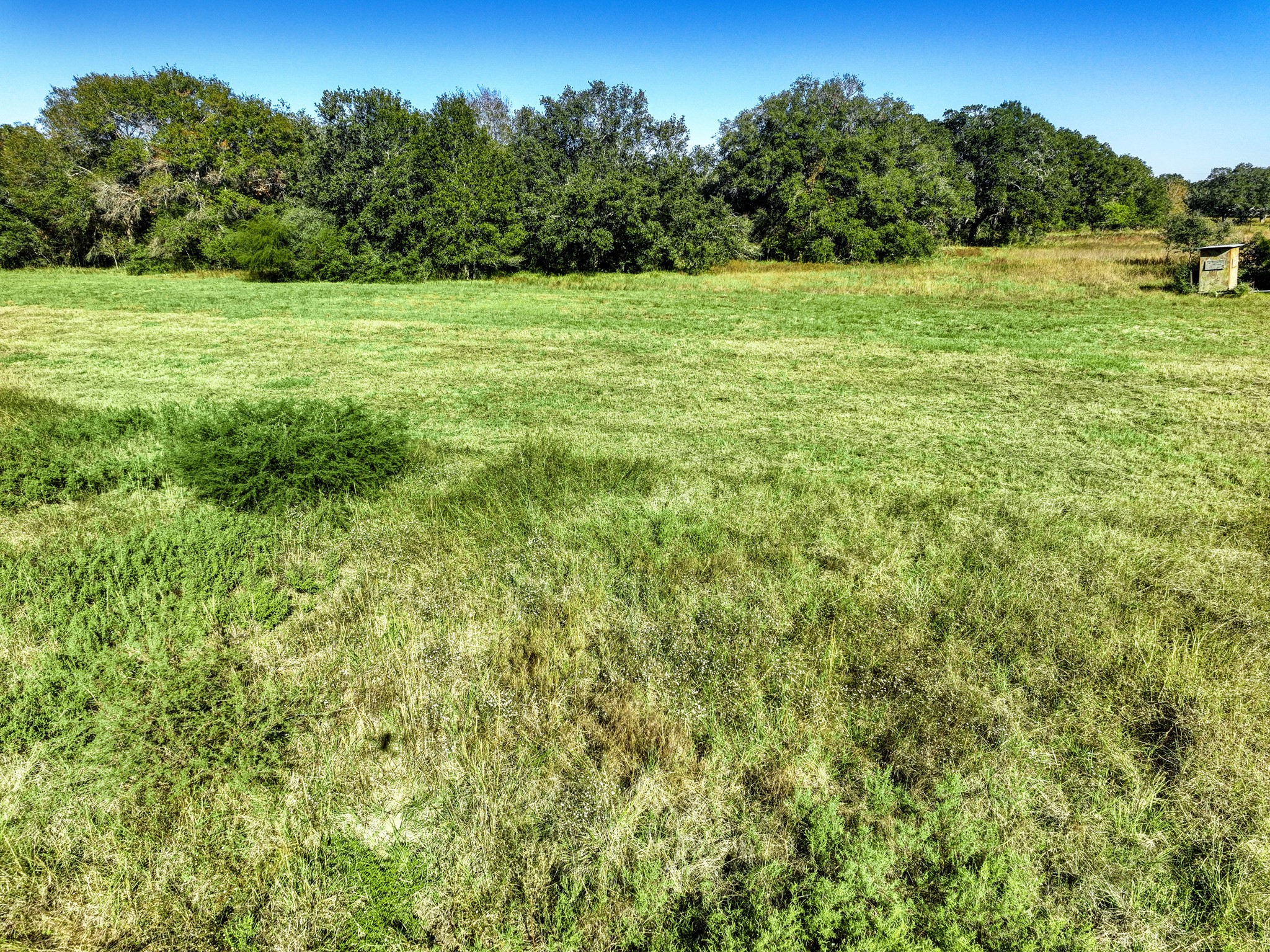 0 County Road 509 Road Damon, TX 77430 - Photo 7 of 18 a view of a green field with wooden fence