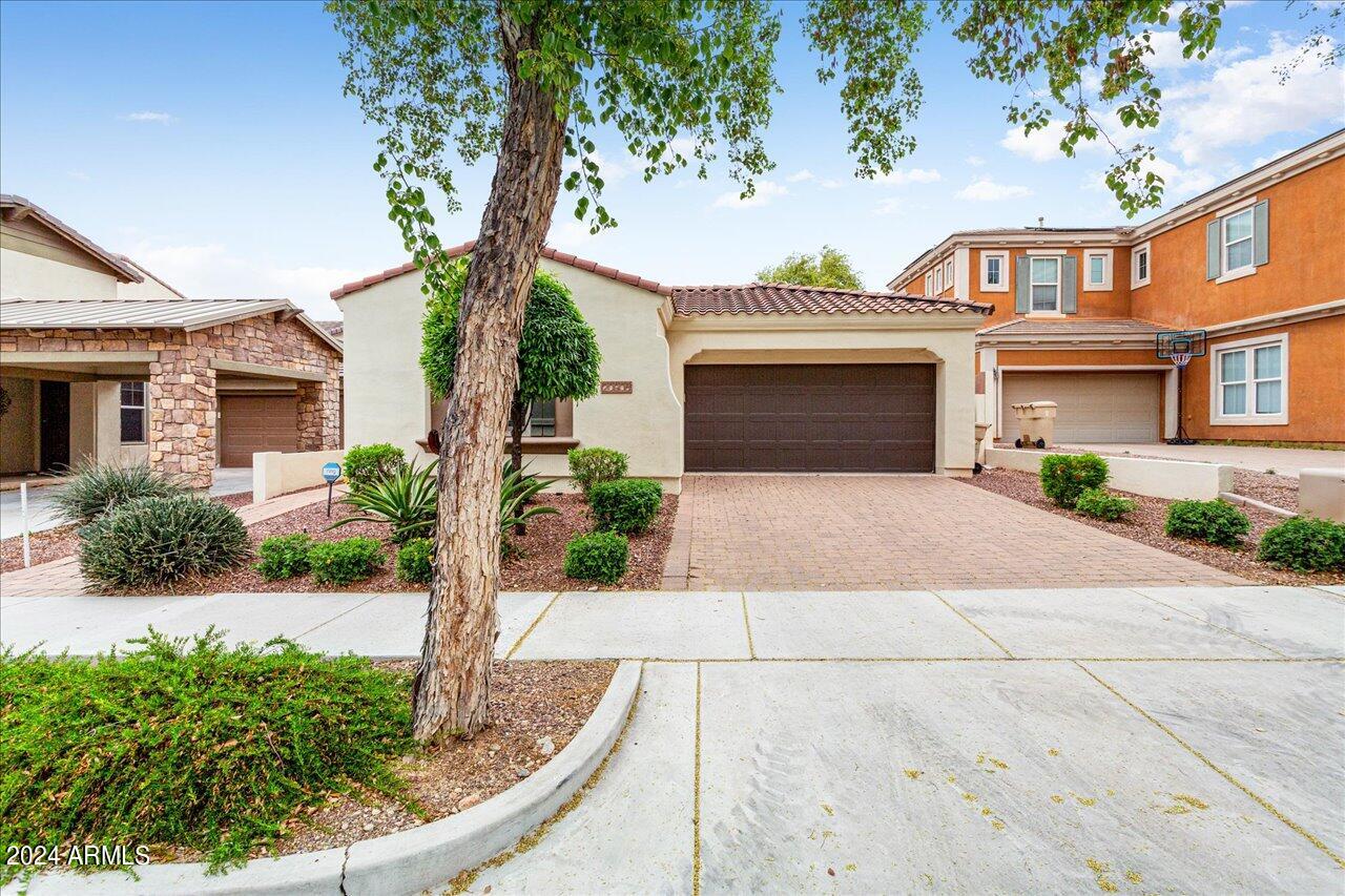 20906 West Ridge Road Buckeye, AZ 85396 - Photo 5 of 30 a front view of a house with garden