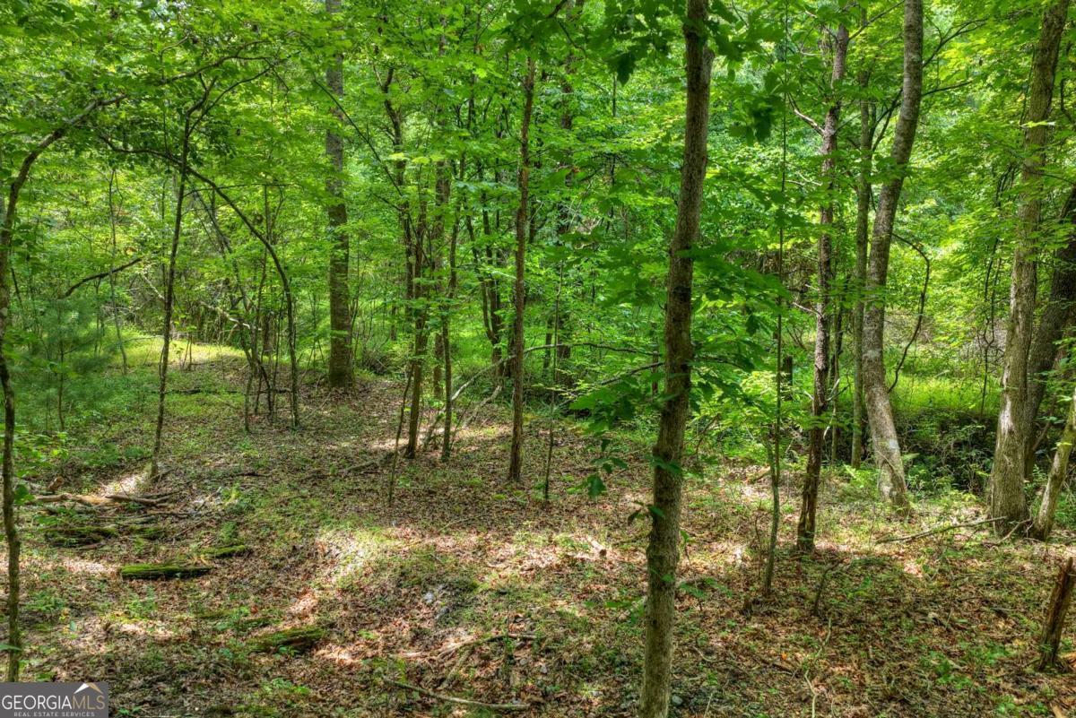 0 Scots Glen Road Mineral Bluff, GA 30559 - Photo 11 of 19