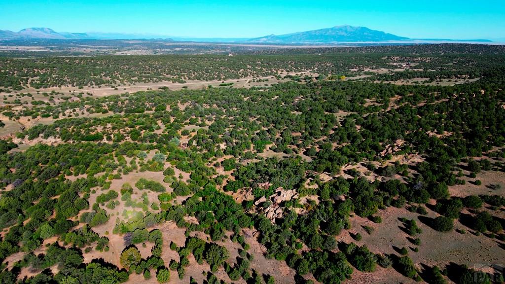 Tbd Bear Creek Road Walsenburg, CO 81089 - Photo 13 of 37