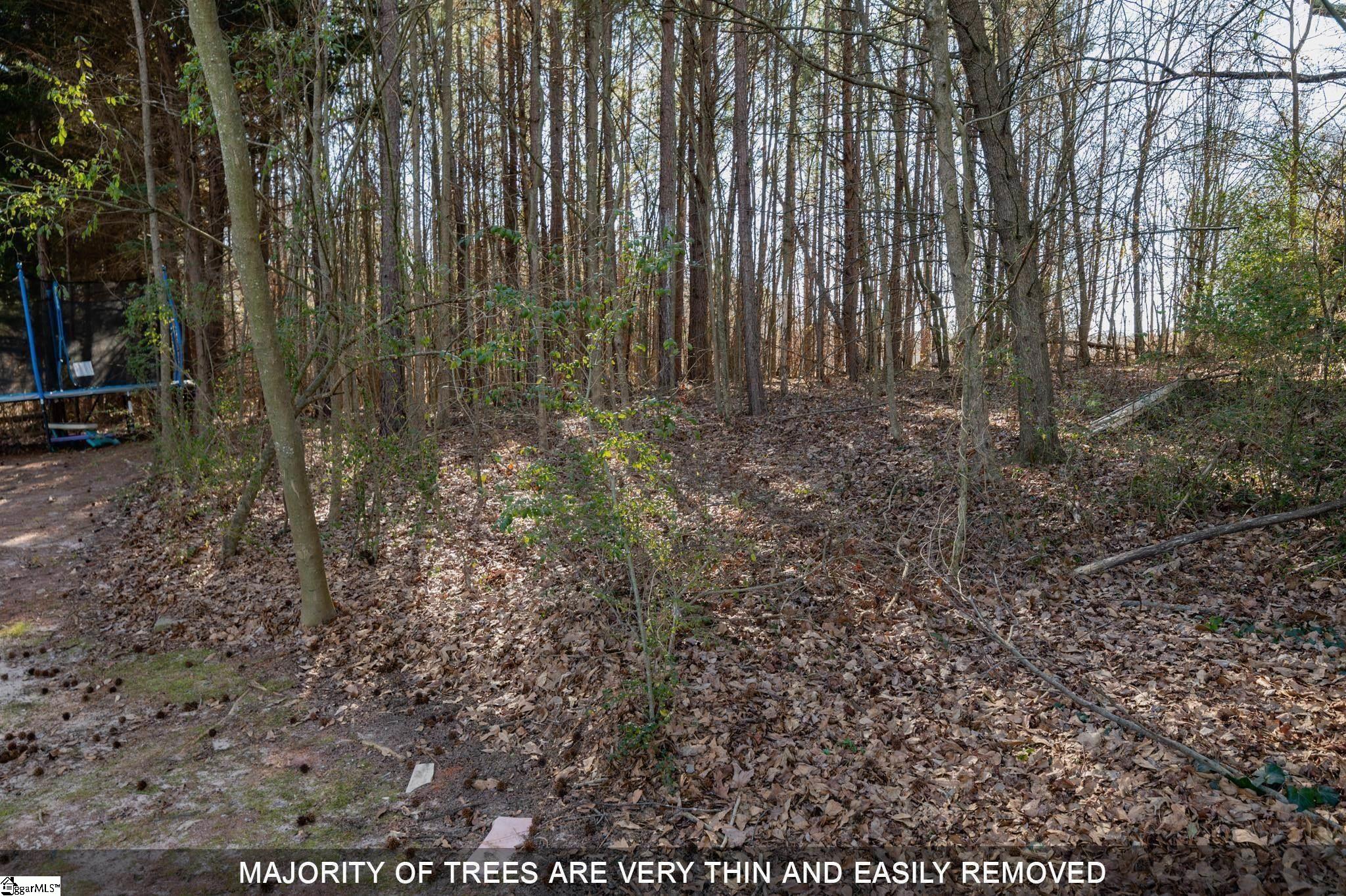 0 Hurricane Creek Road Piedmont, SC 29673 - Photo 4 of 15