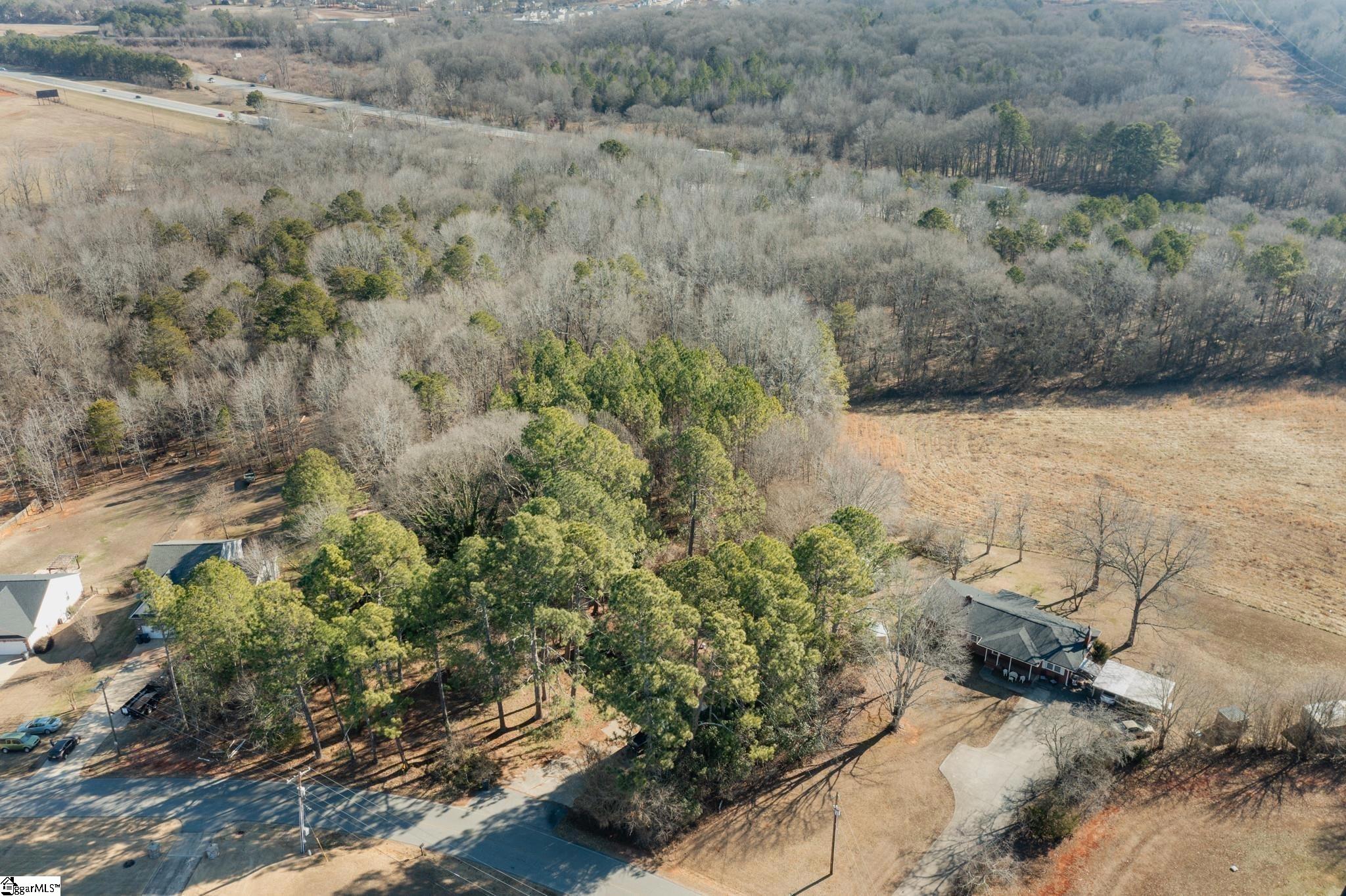 0 Hurricane Creek Road Piedmont, SC 29673 - Photo 6 of 15